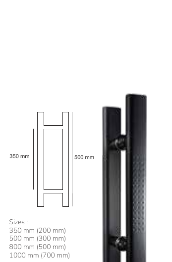PH 206B BM