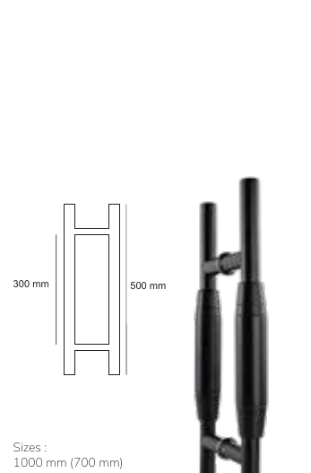 PH 220 BM